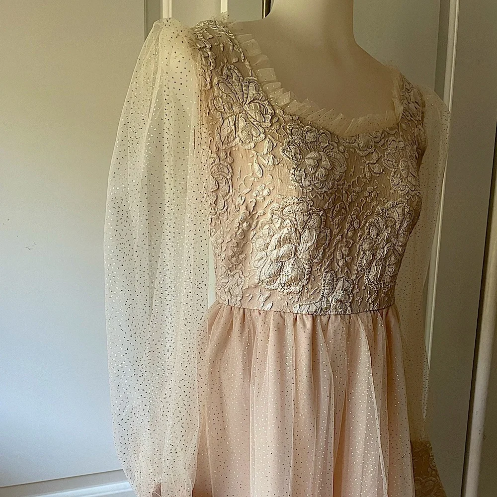 Beautiful Princess style blush color gown with sheer sleeves - Picture 2 of 14